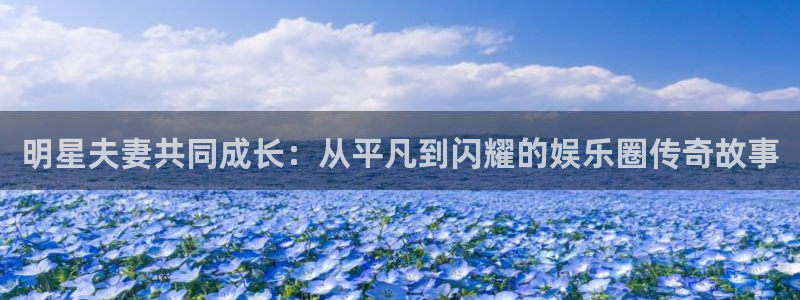 卧龙娱乐登录入口：明星夫妻共同成长：从平凡到闪耀的娱乐圈传奇故事