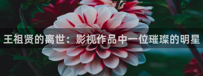 卧龙娱乐怎么样：王祖贤的离世：影视作品中一位璀璨的明星