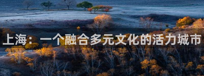 卧龙娱乐：上海：一个融合多元文化的活力城市