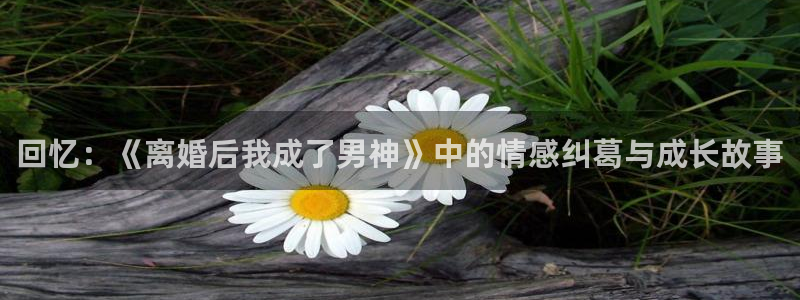 卧龙娱乐怎么样：回忆：《离婚后我成了男神》中的情感纠葛与成长故事