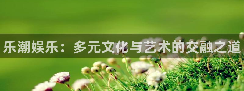 卧龙娱乐：乐潮娱乐：多元文化与艺术的交融之道