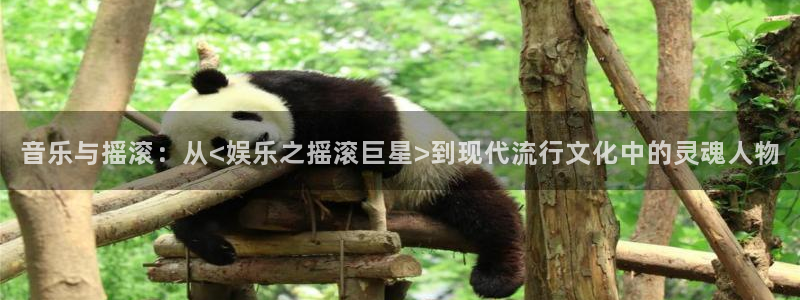 卧龙娱乐：音乐与摇滚：从<娱乐之摇滚巨星>到现代流行文化中的灵魂人物