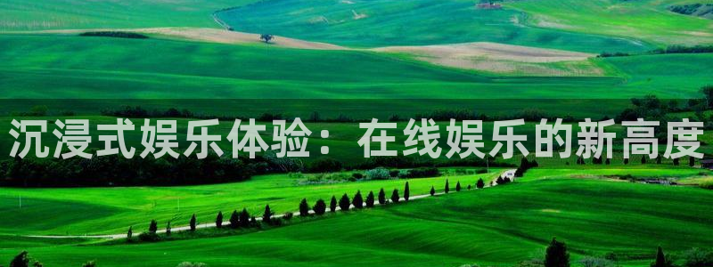卧龙娱乐登录入口：沉浸式娱乐体验：在线娱乐的新高度
