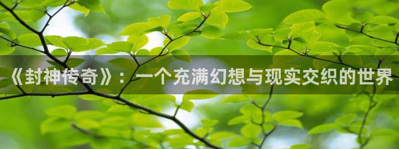 卧龙娱乐怎么样：《封神传奇》：一个充满幻想与现实交织的世界